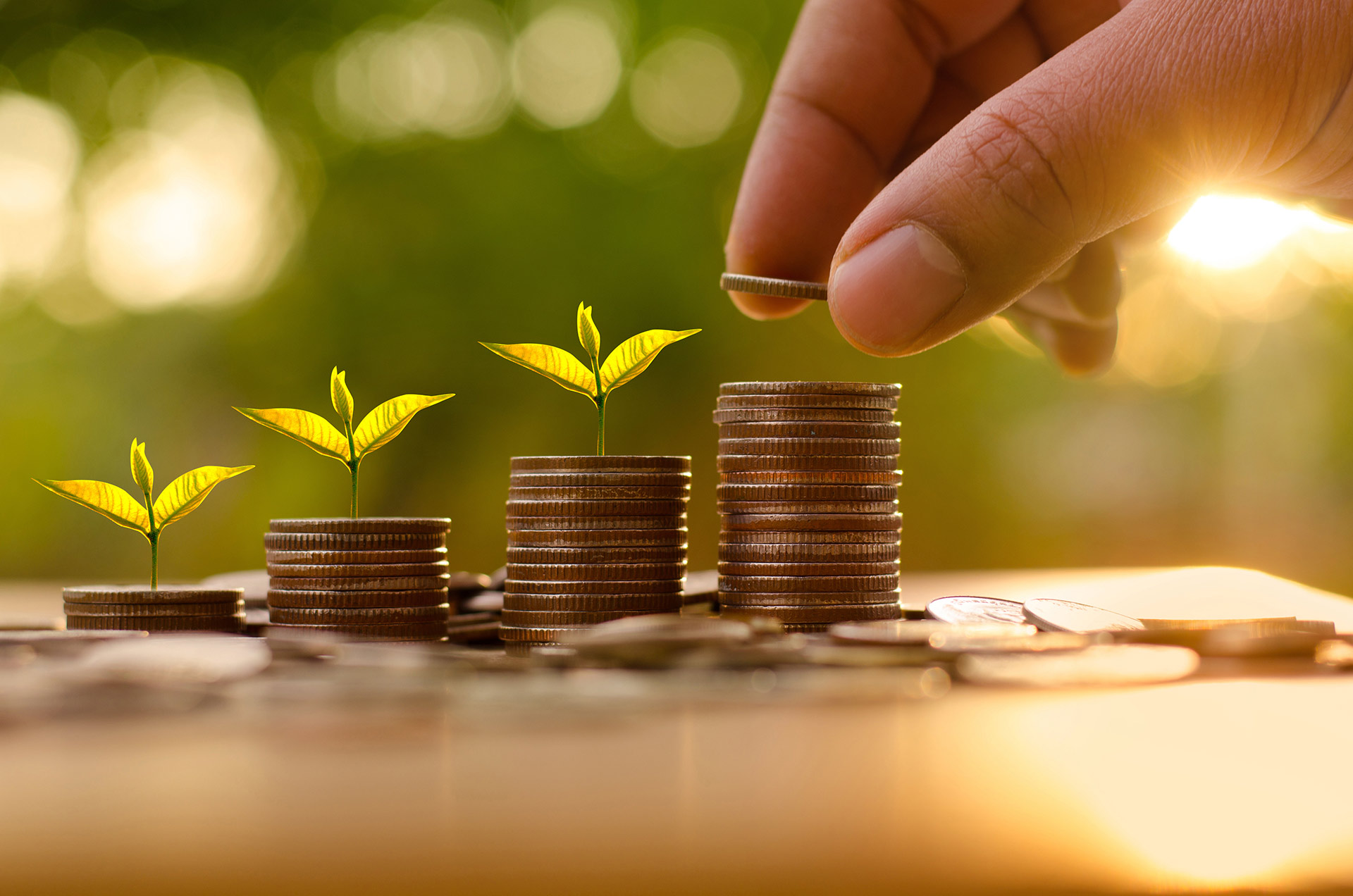 Personal wealth презентация